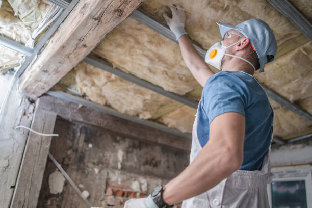 Best Insulation Maintenance and Repair in Viola, IL