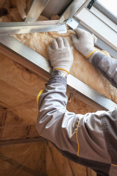 Best Insulation for Specific Applications in Viola, IL
